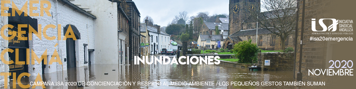 11-NOVIEMBRE