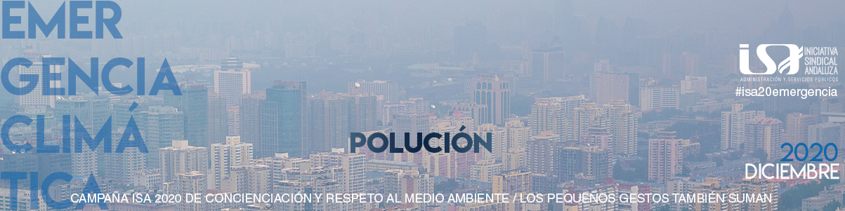 12-DICIEMBRE