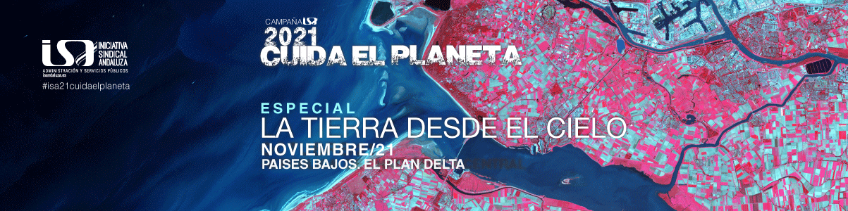 NOVIEMBRE