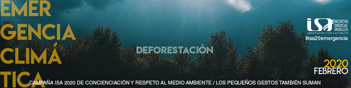 2-FEBRERO.png